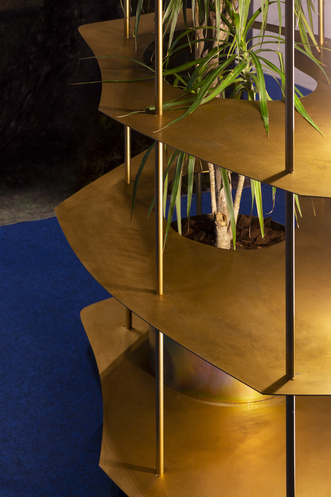 008_javier agustin rojas_qts 4_IMG_4850_low