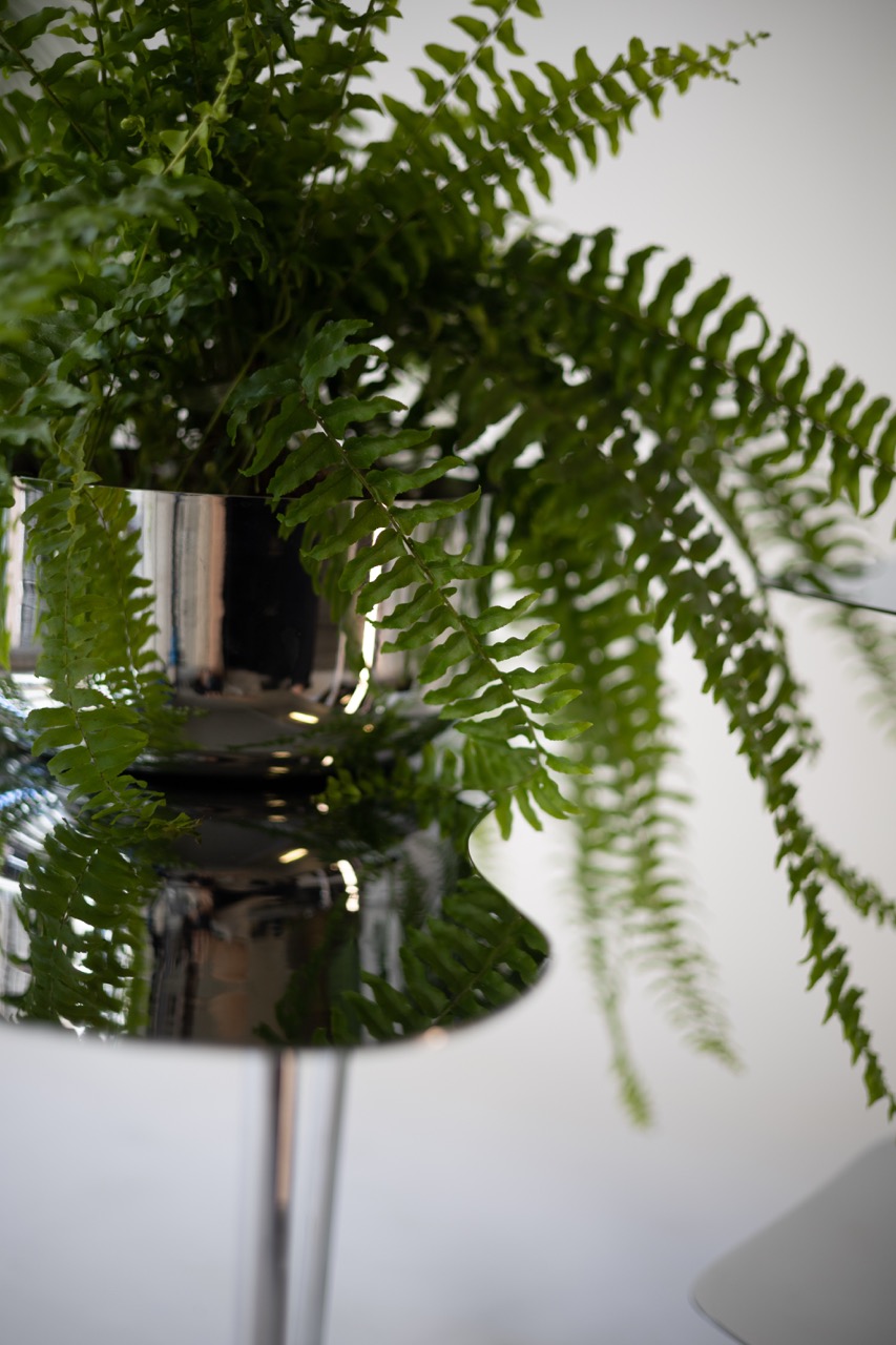 IMG_9669 en tamaño grande