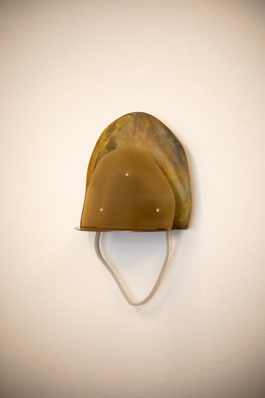 IMG_9841 en tamaño grande