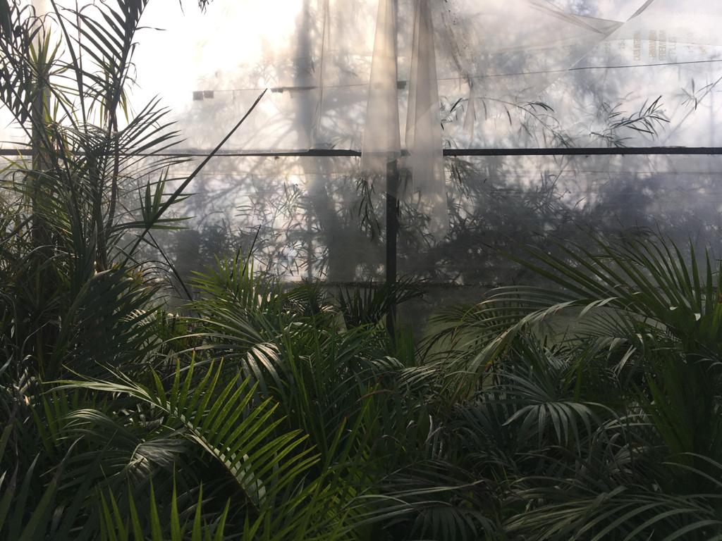 PHOTO-2020-01-03-16-41-10 (9)