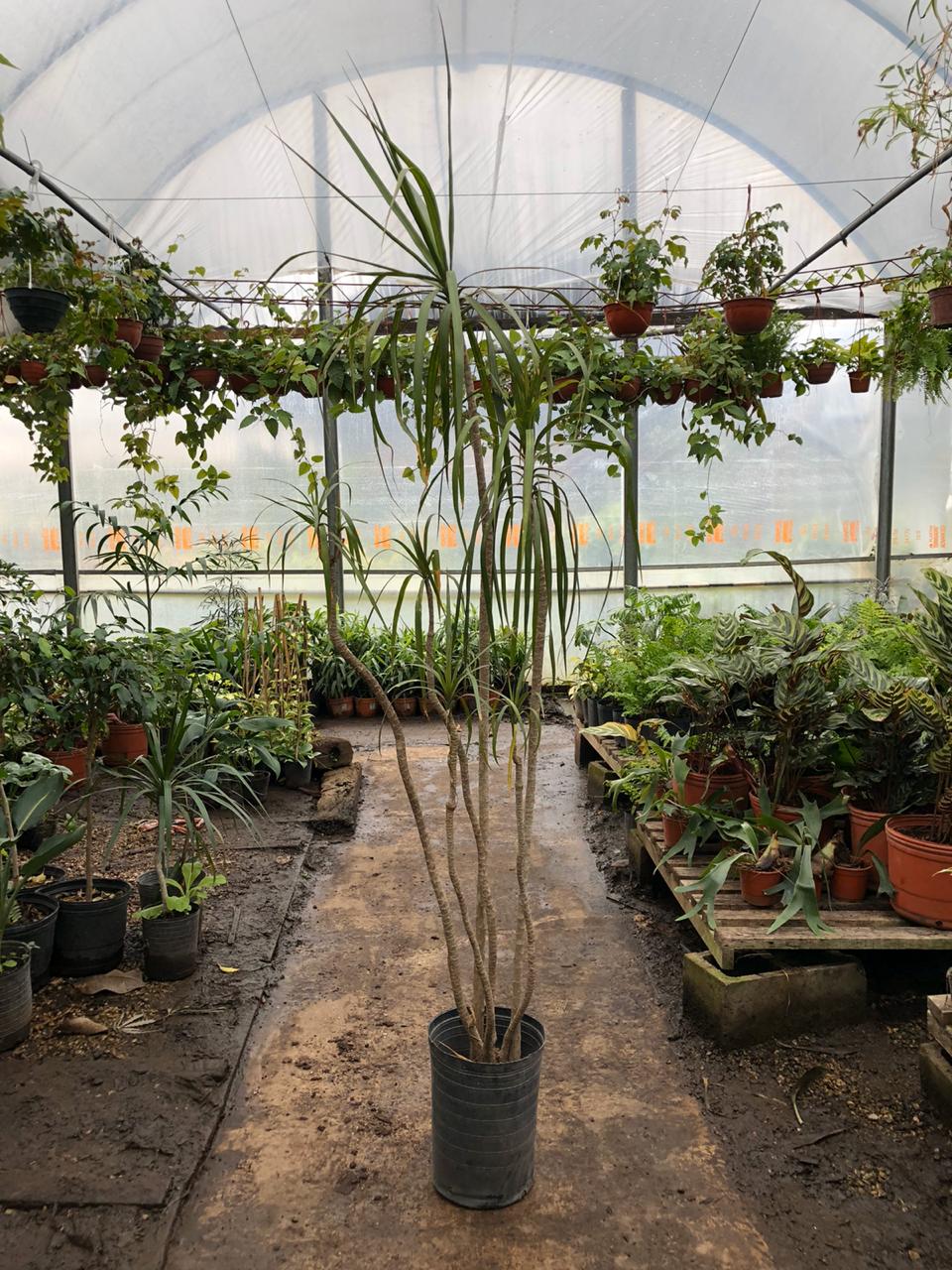 PHOTO-2020-01-03-16-49-37 (1)