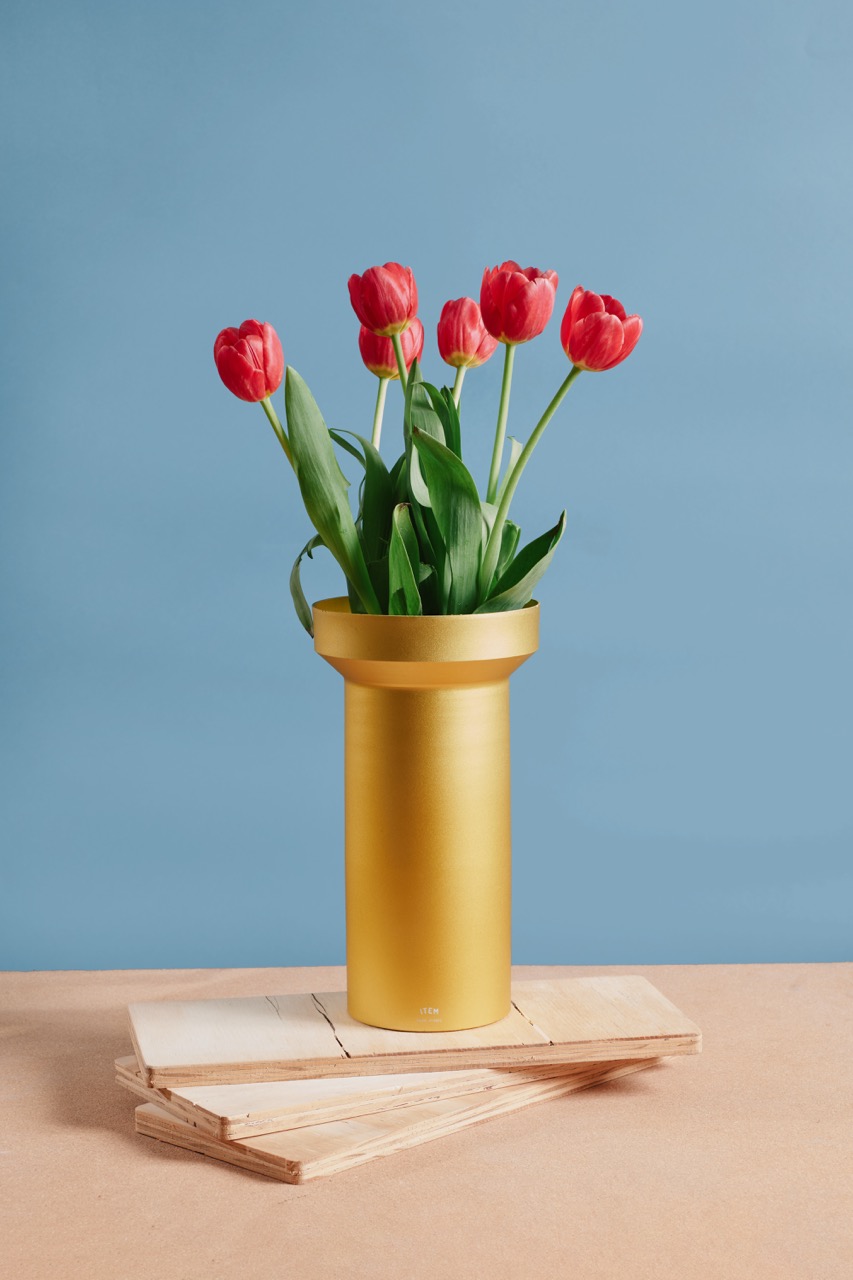 item-thames-felixniikado-high-3 en tamaño grande