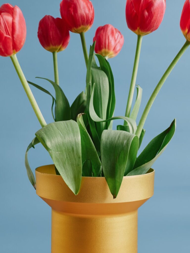 item-thames-felixniikado-high-4 en tamaño grande